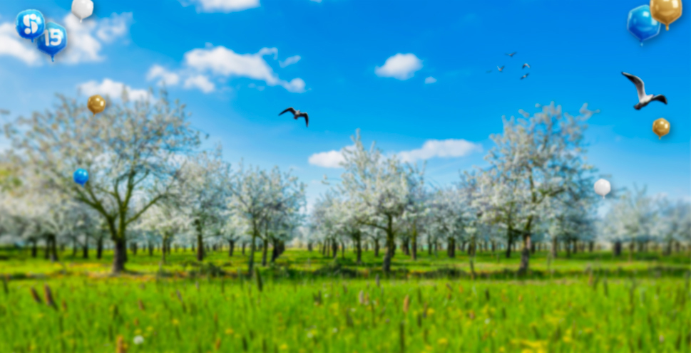 Social Deal Haspengouw sfeerafbeelding