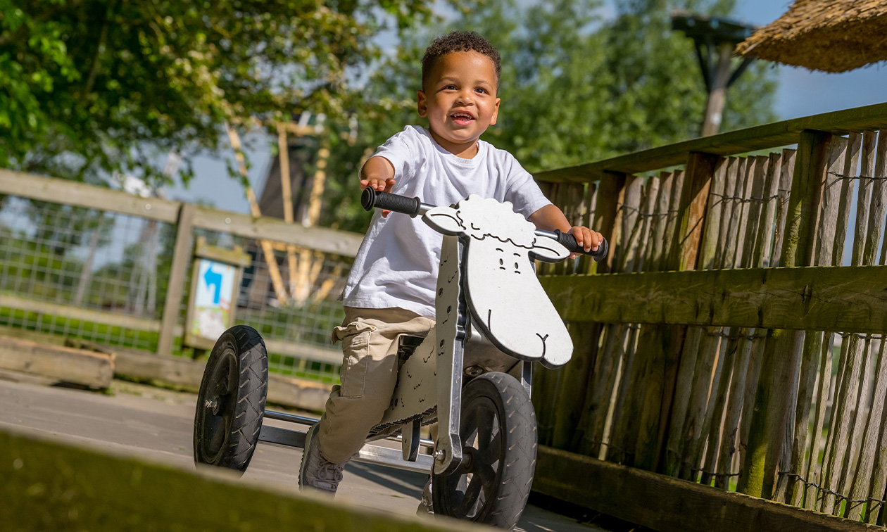 Avonturenboerderij Molenwaard