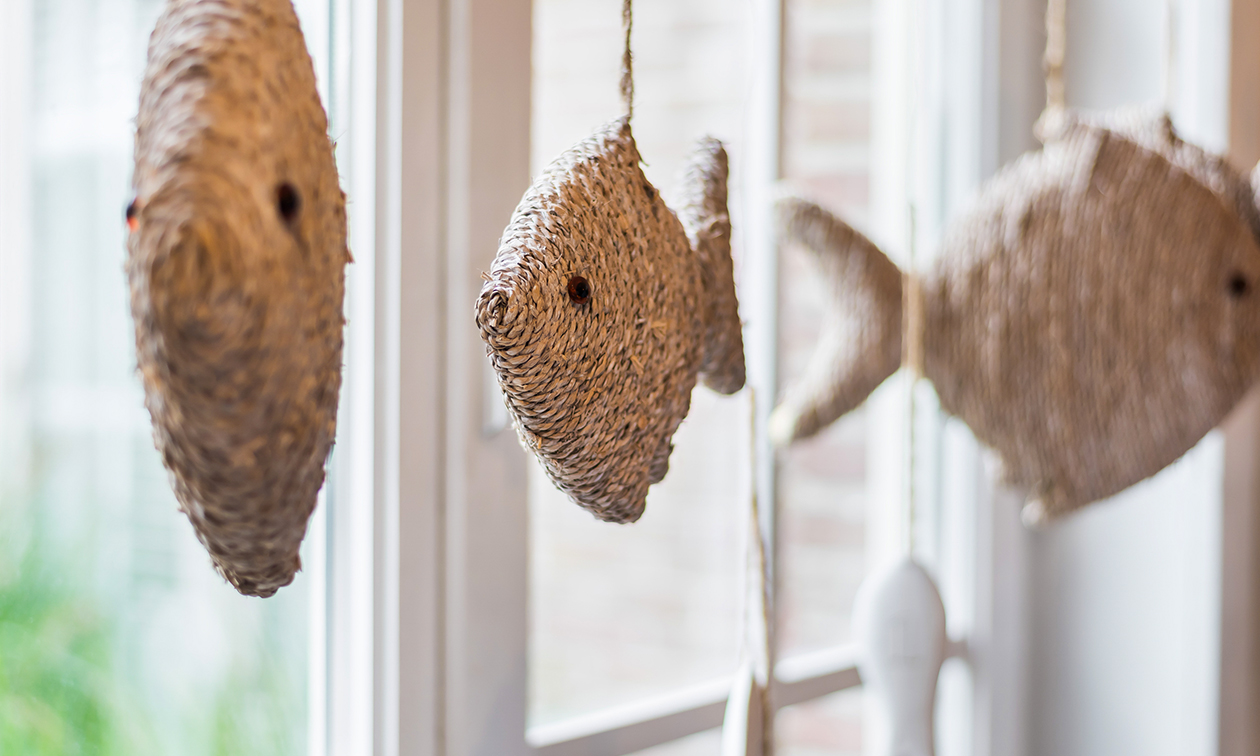 Bed & Breakfast Vis-à-Vis