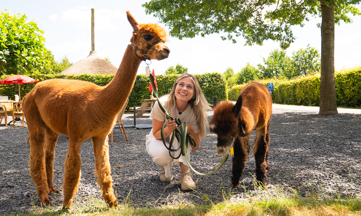 Beleefboerderij Heierhof