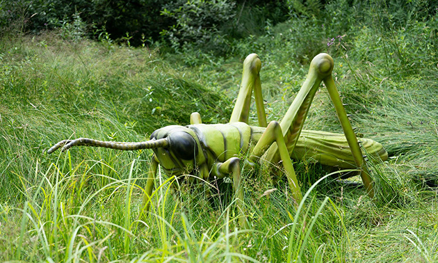 Big Insects bij Paleis Soestdijk in Baarn