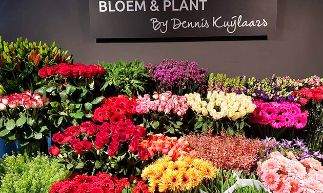 Bloem en Plant by Dennis Kuijlaars