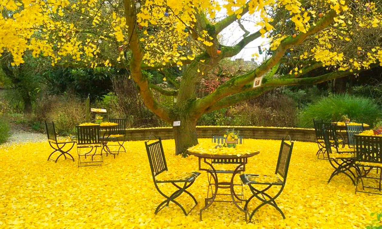 Botanische tuin Jochumhof