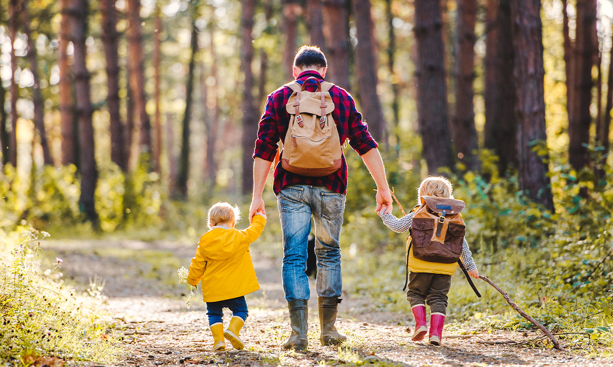Brasserie Aai & Vlaai