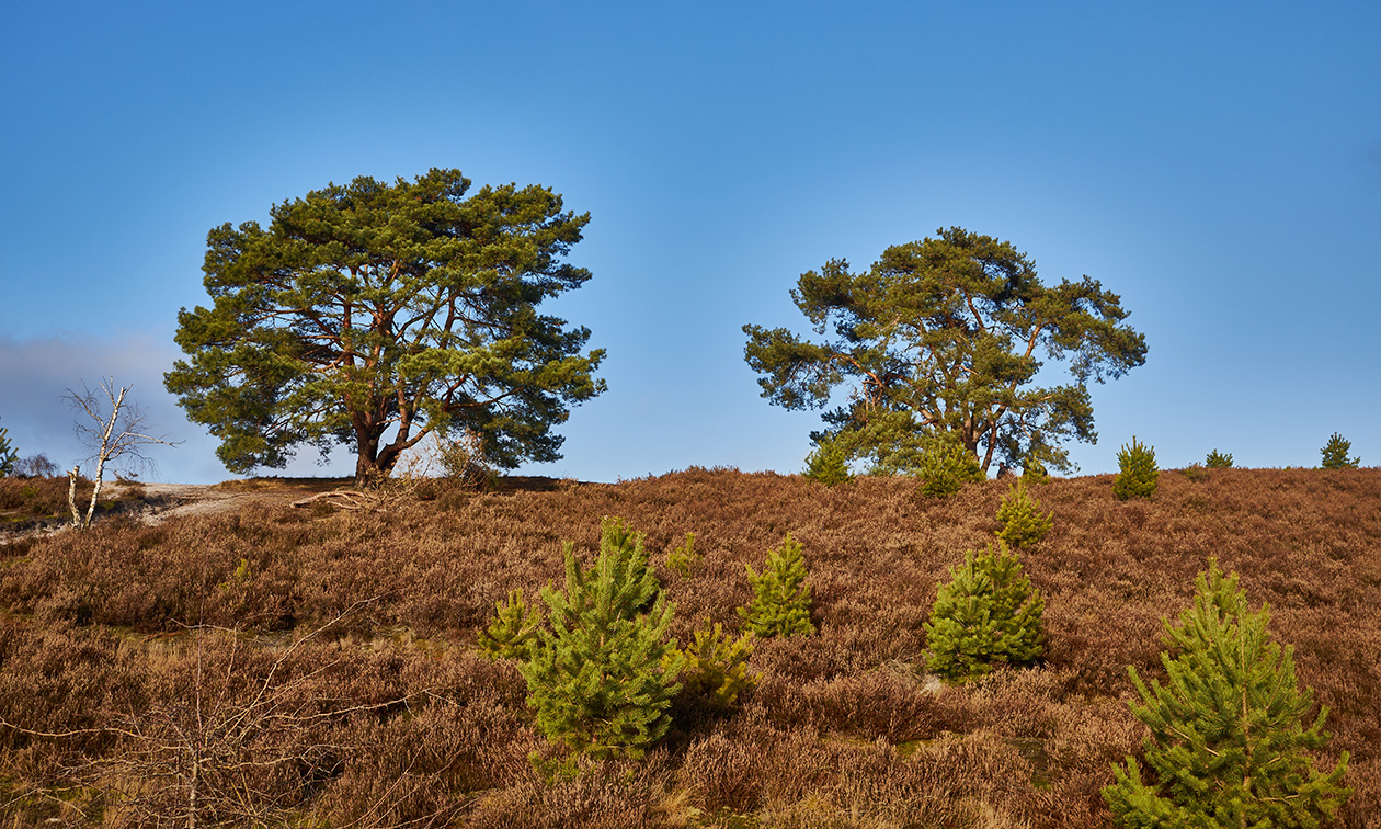 Brasserie De Uitvlucht
