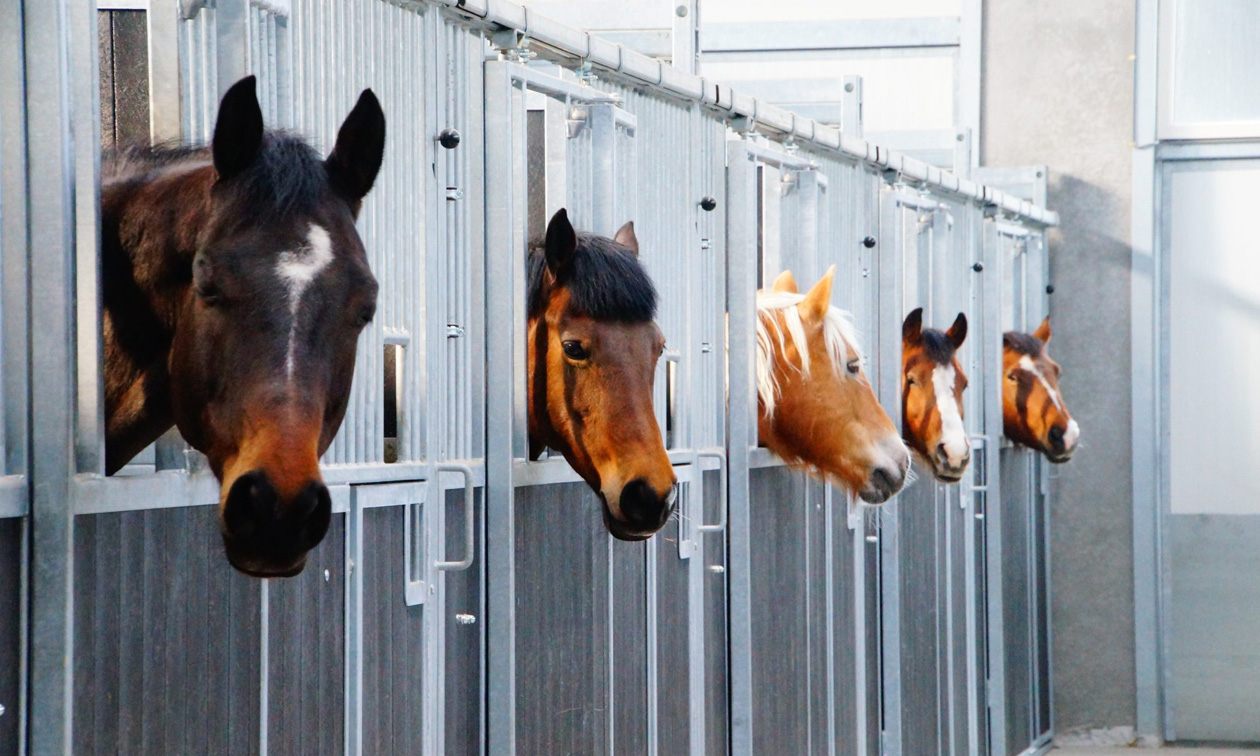 Brasserie & Ruitersportcentrum Het Keelven