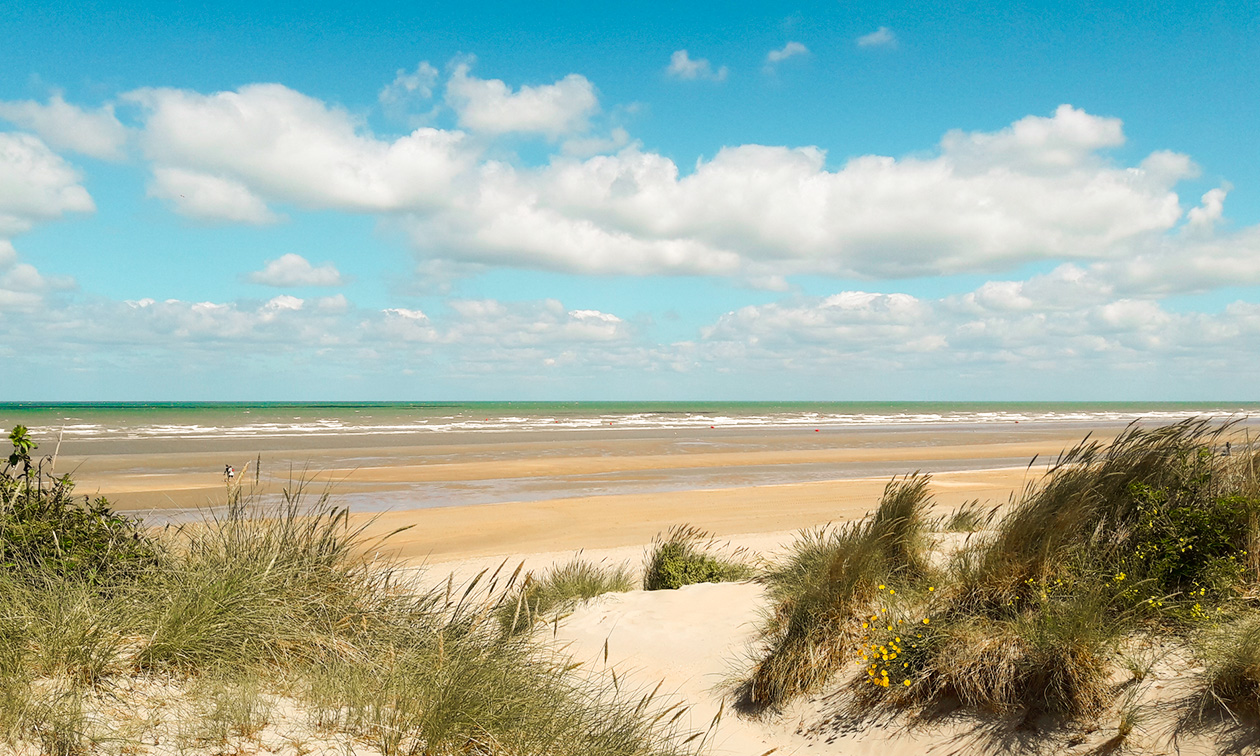 Brasserie Kommilfoo De Panne