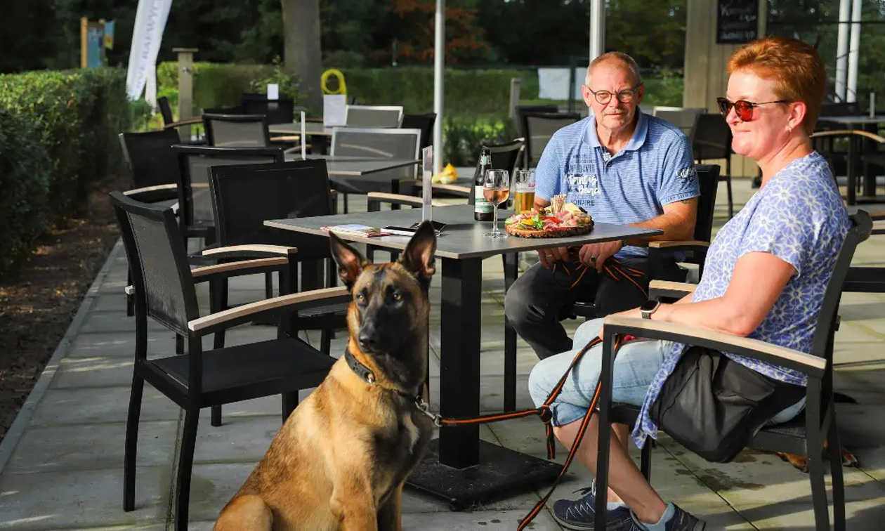 Brasserie Wagenwiel