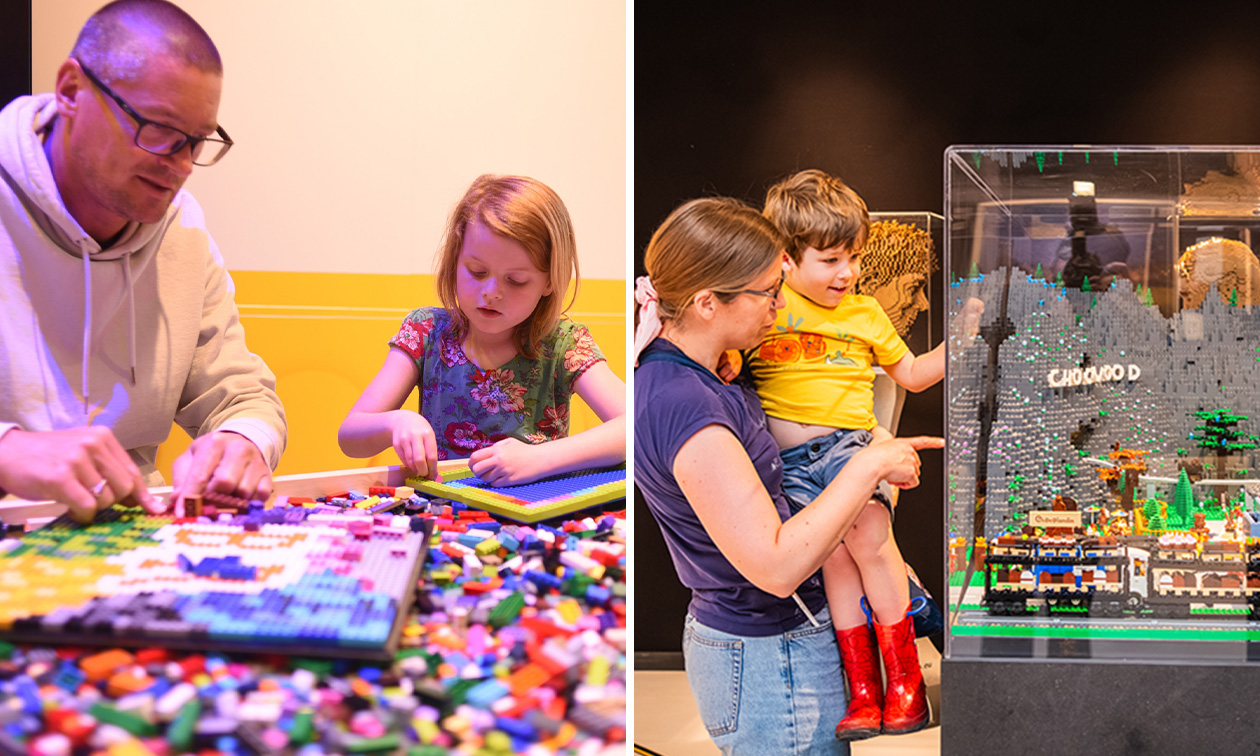 Bricks of Wonder