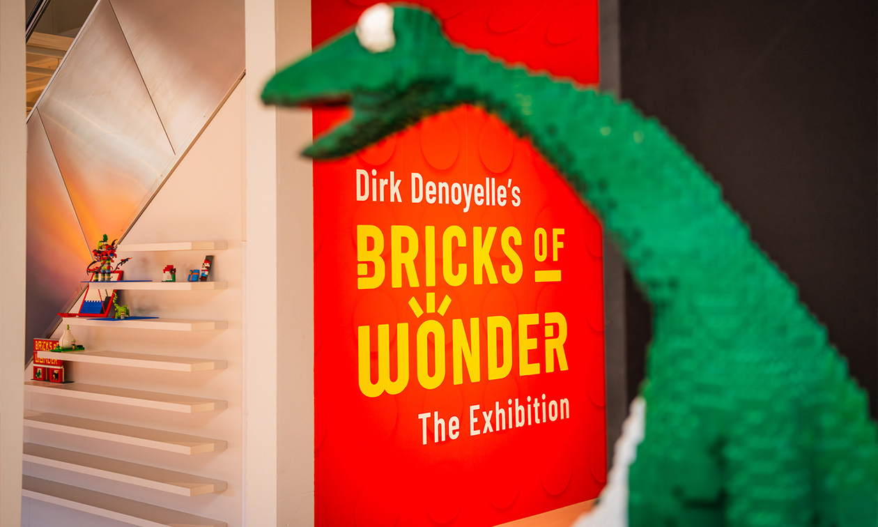 Bricks of Wonder