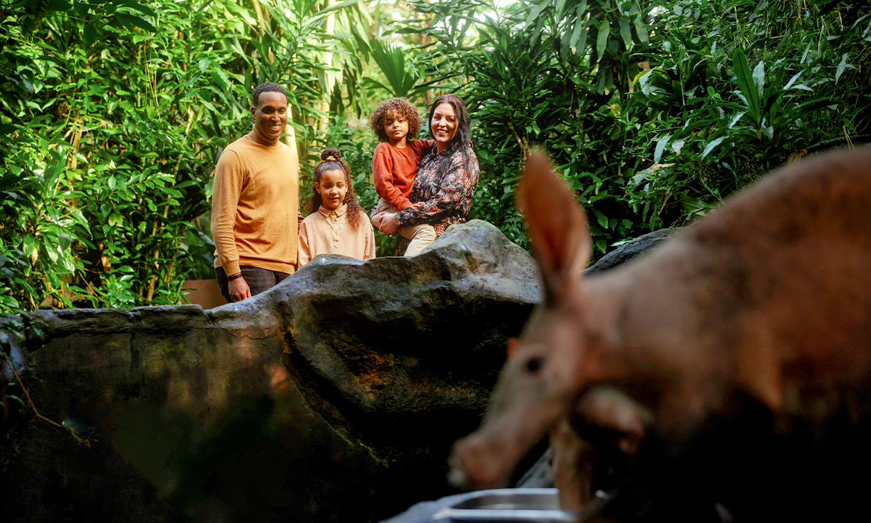 Burgers´ Zoo