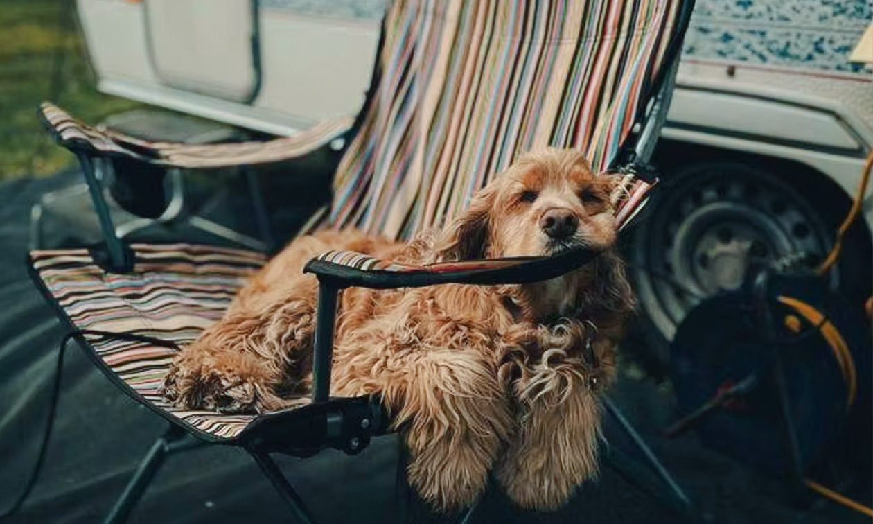 Camping de Boschtuin