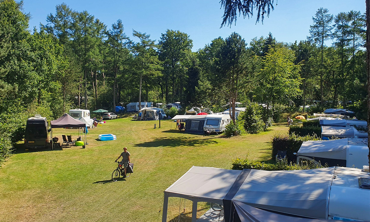 Camping het Horstmannsbos