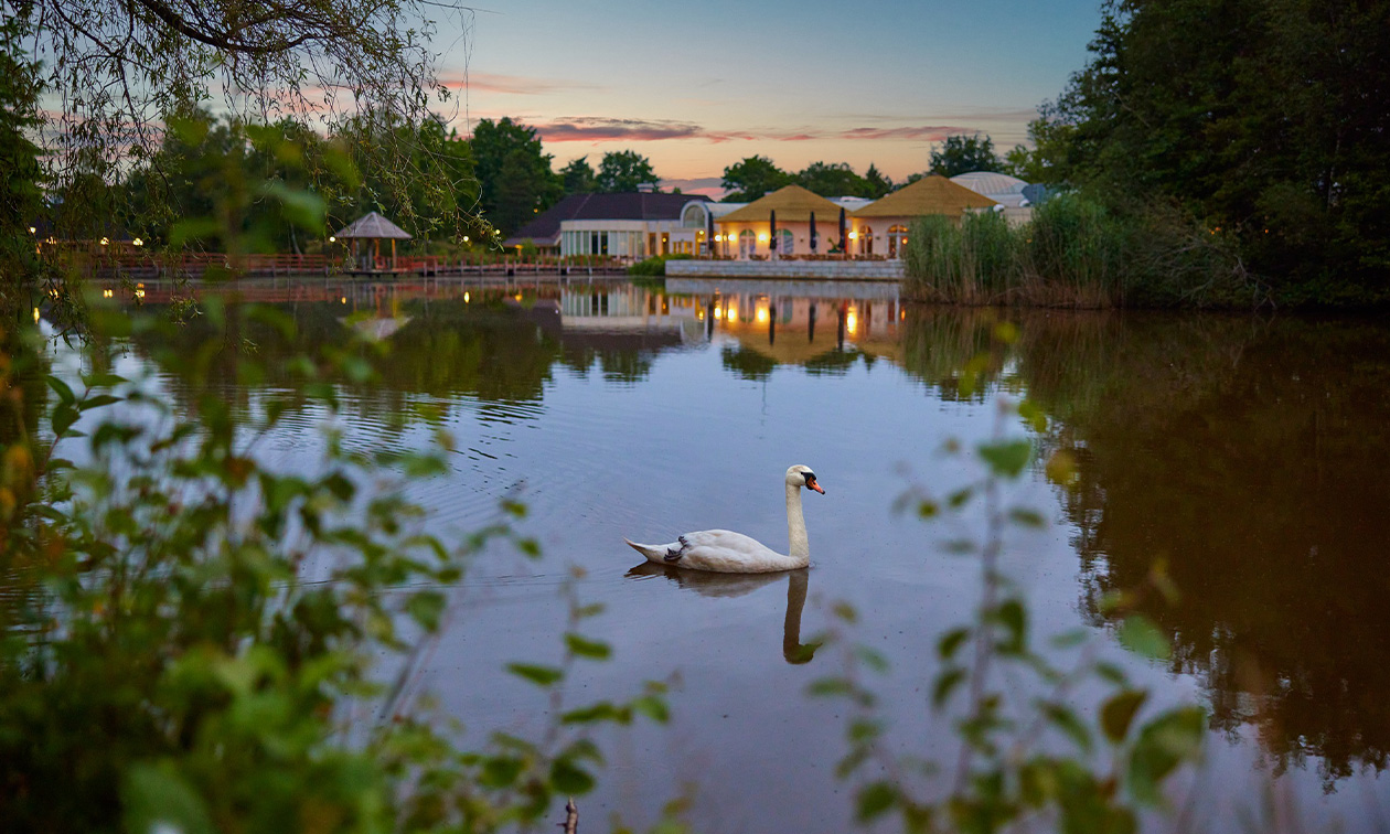 Center Parcs Limburgse Peel