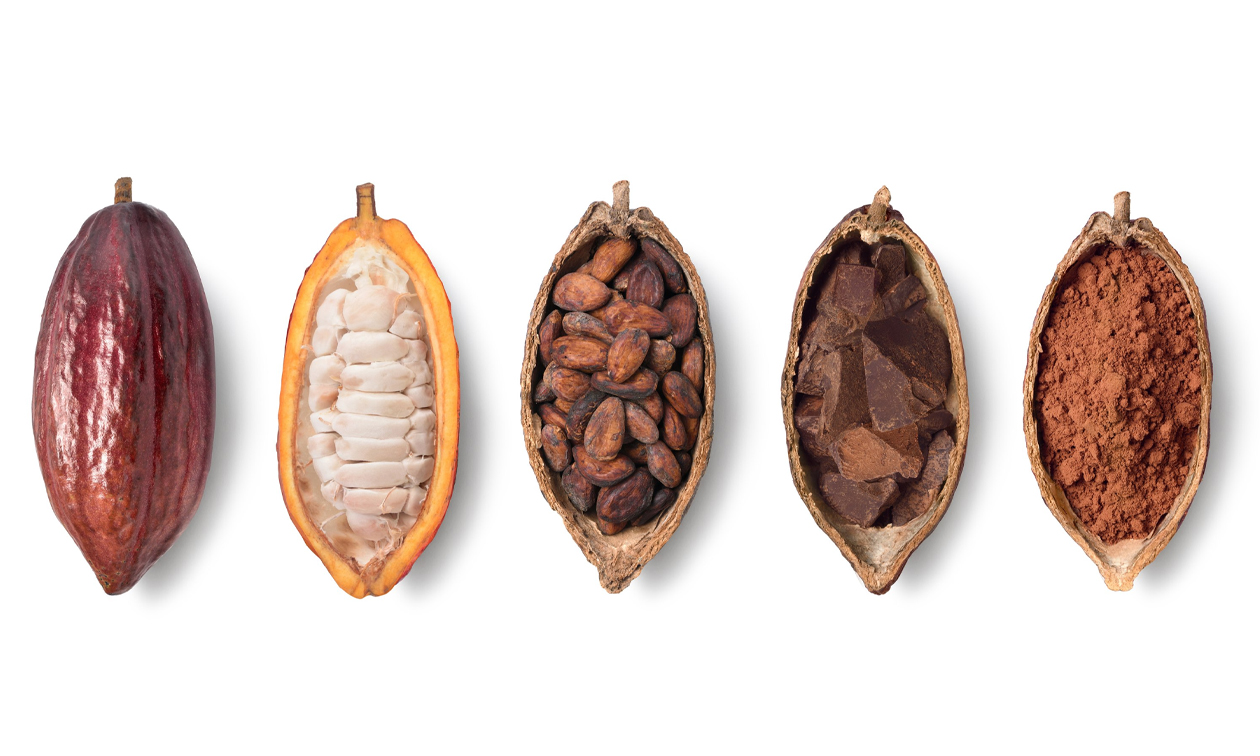 Chocolate Lovers