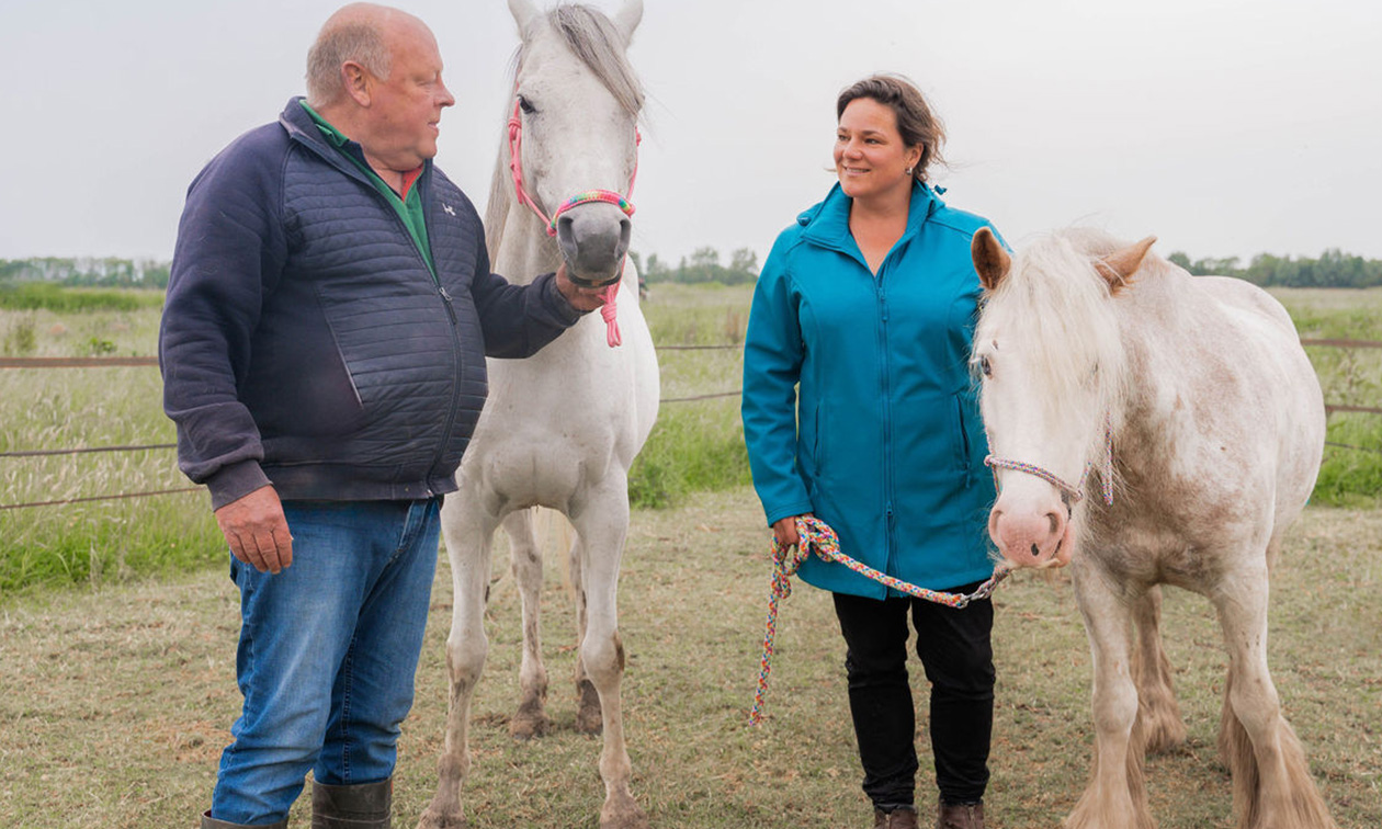 Dabeau Coaching met paarden