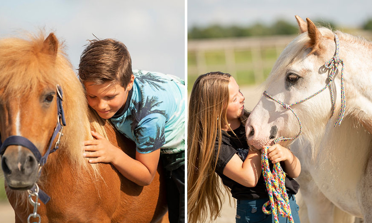 Dabeau Coaching met paarden