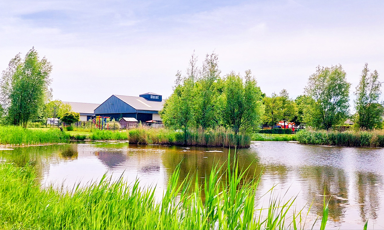 De Kleine Biesbosch
