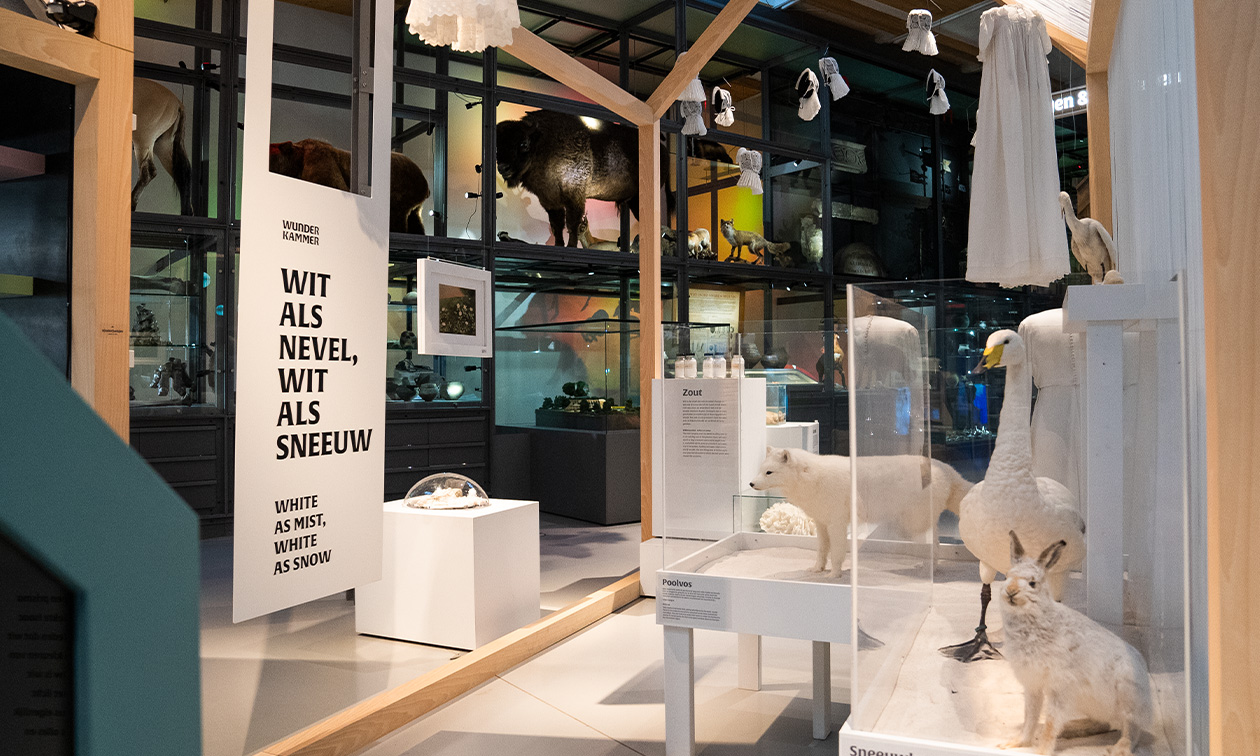 De Museumfabriek