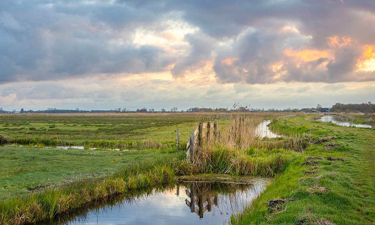 De Veenhoop Watersport & Recreatie, De Pôlle