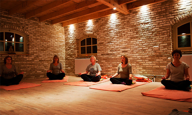 De Vertakte Boom yoga en equitherapie praktijk