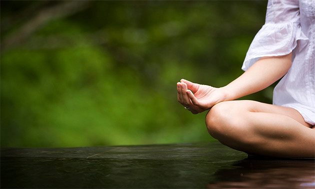 De Vertakte Boom yoga en equitherapie praktijk