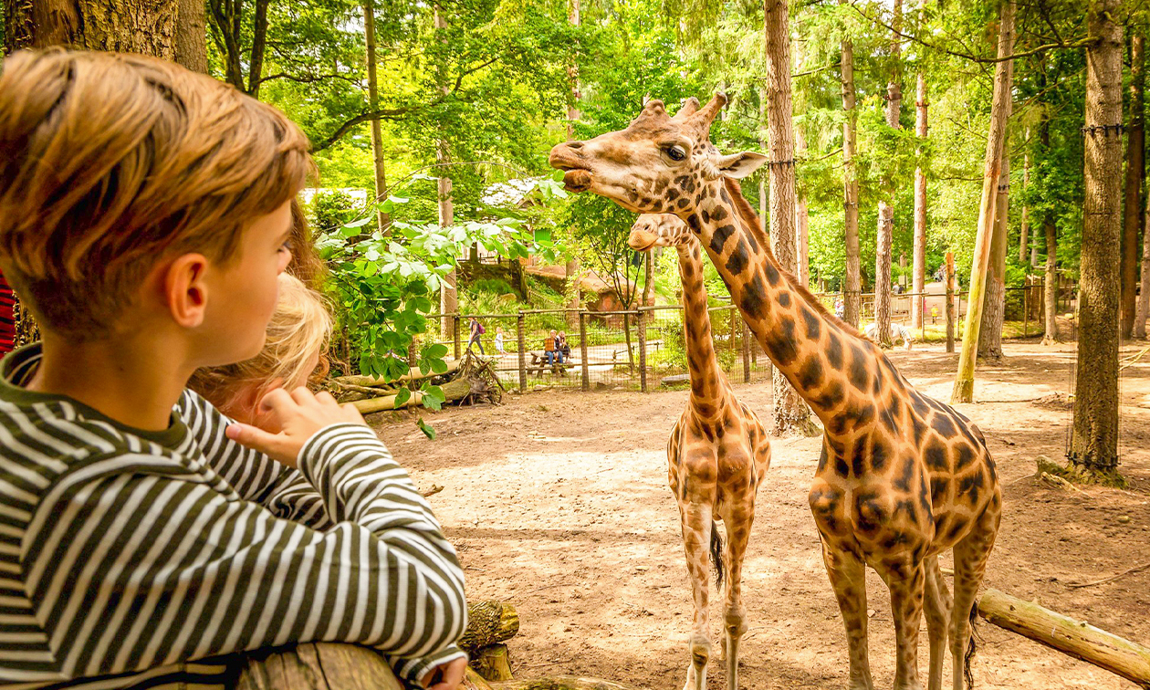 DierenPark Amersfoort