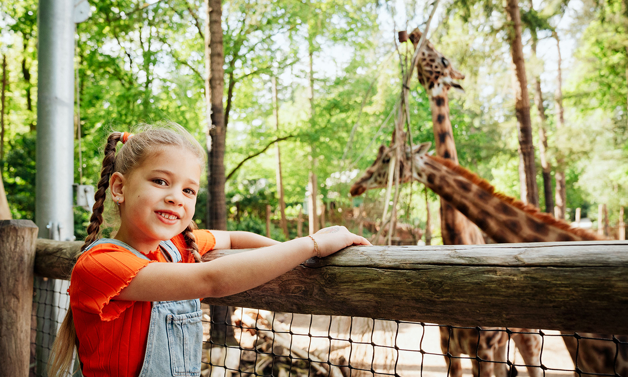 DierenPark Amersfoort