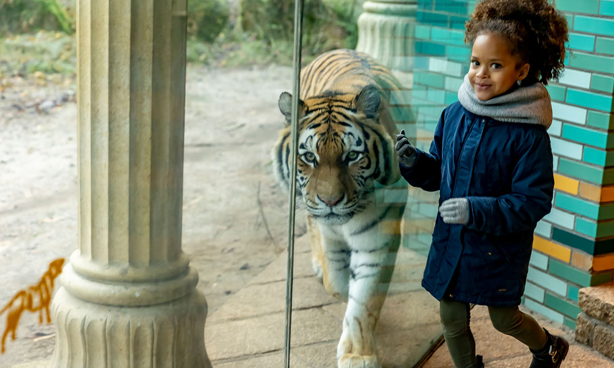 DierenPark Amersfoort