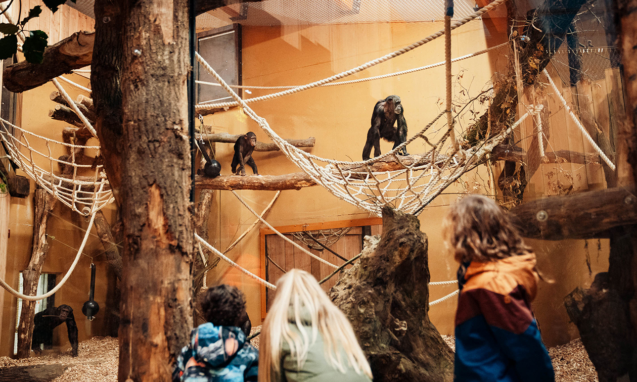 DierenPark Amersfoort