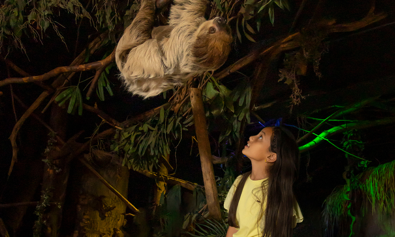 DierenPark Amersfoort