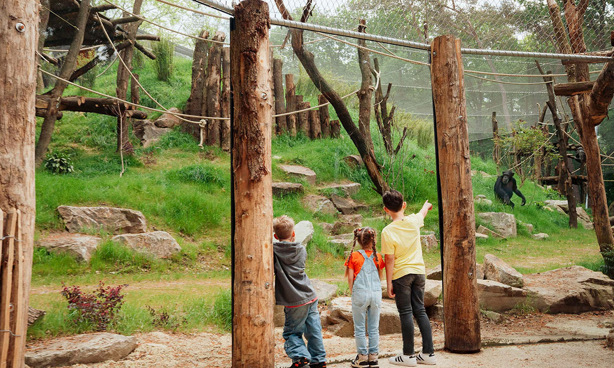 DierenPark Amersfoort