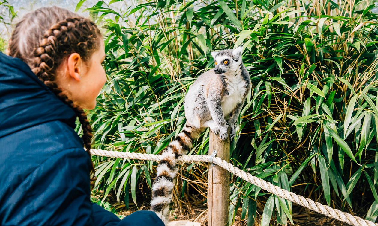 Eindhoven Zoo