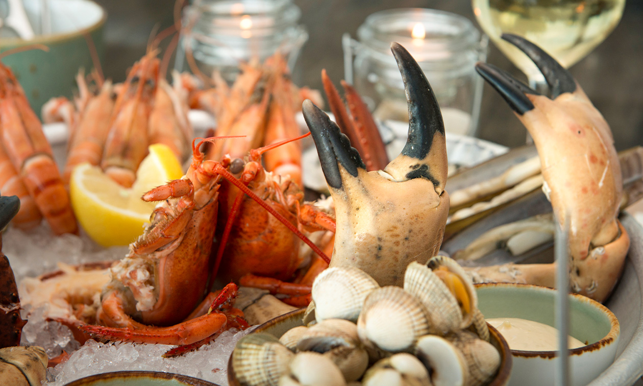 Dijkpaviljoen De Westkaap