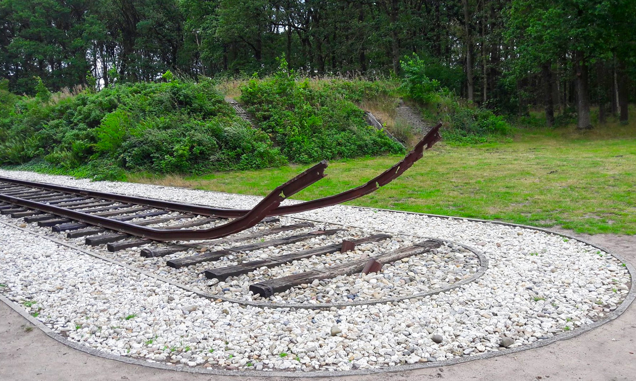 Dinercafé Boszicht Hooghalen