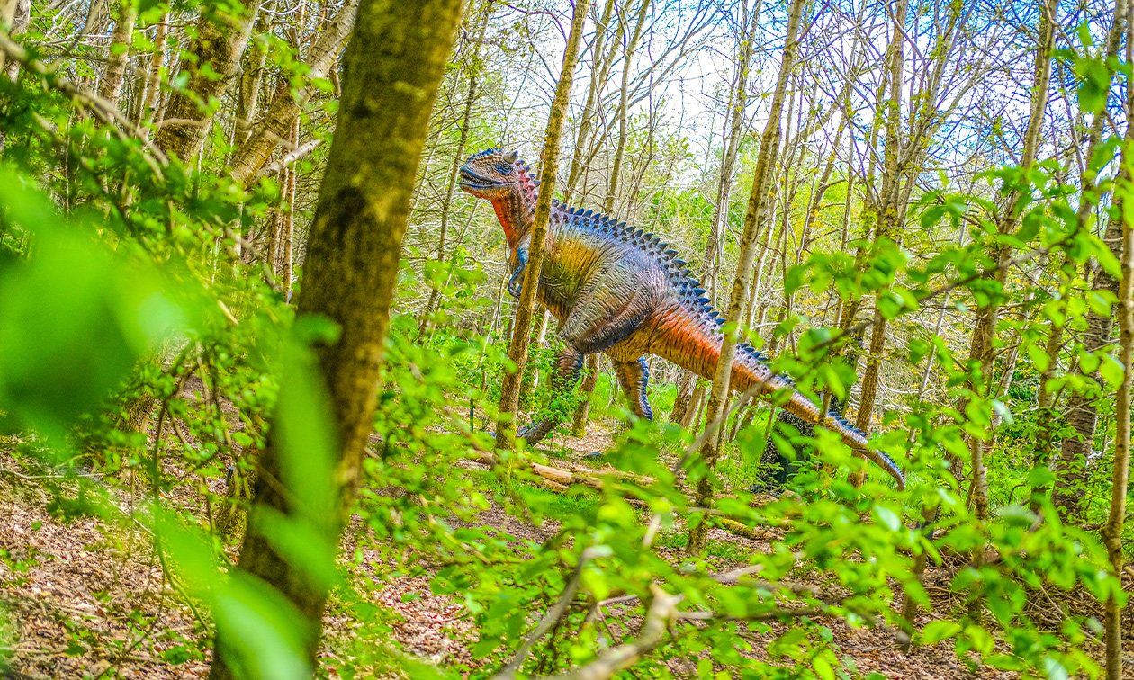 Dinopark & Landgoed Tenaxx