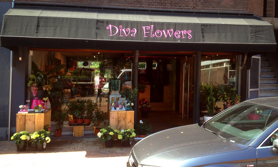 Diva Flowers