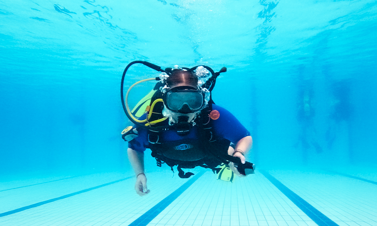 Dive2discover
