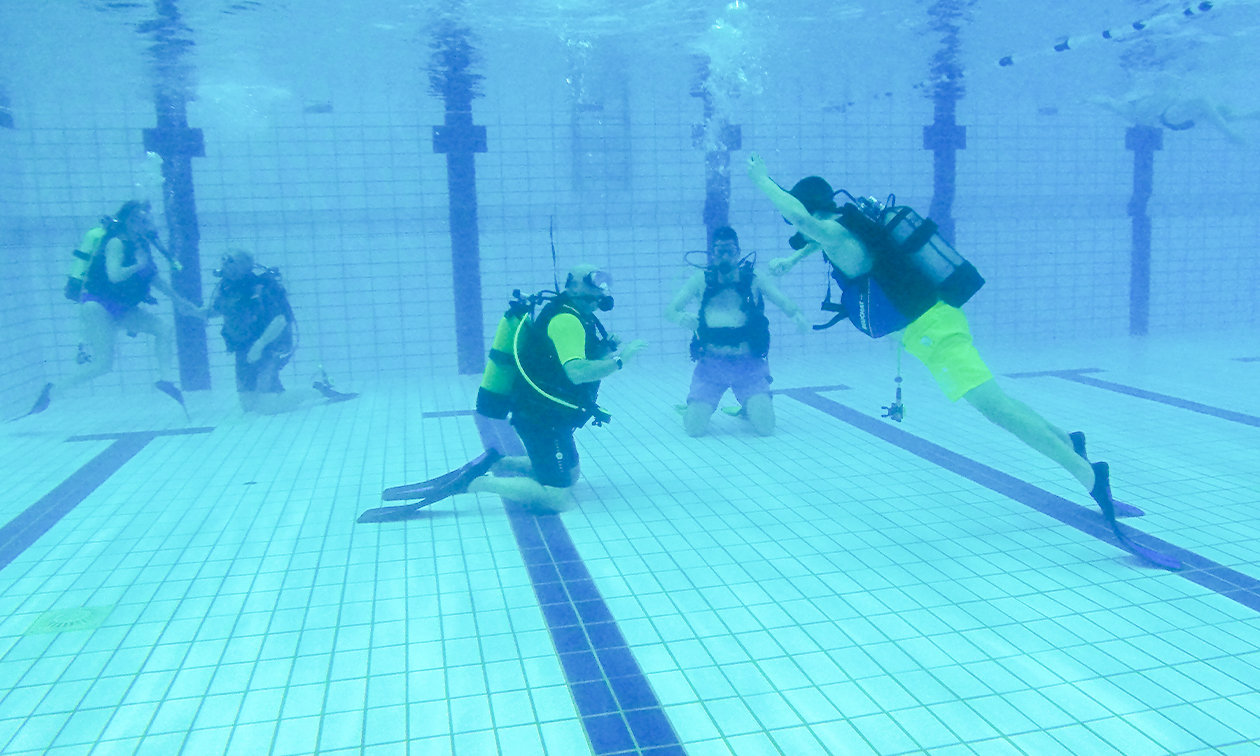 Dive2discover