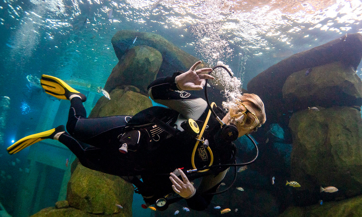 Divecenter Scuba Original