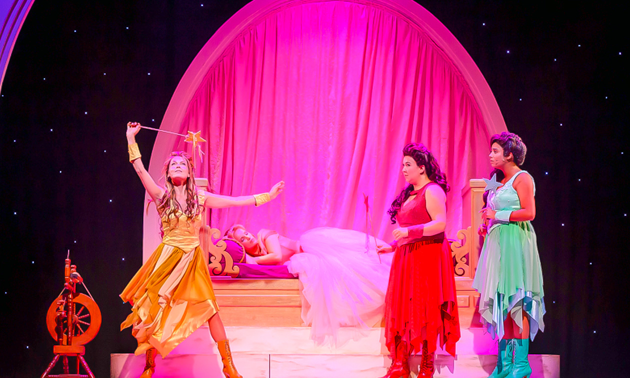 Doornroosje de Musical