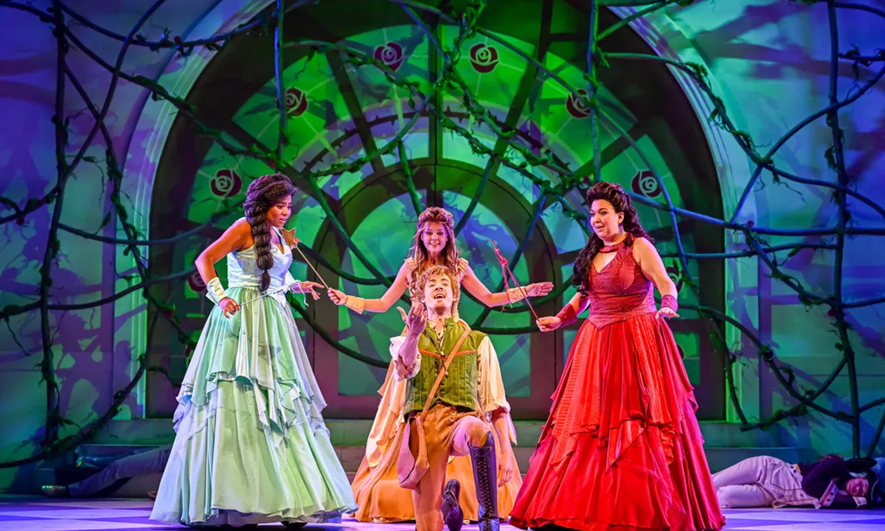 Doornroosje de Musical