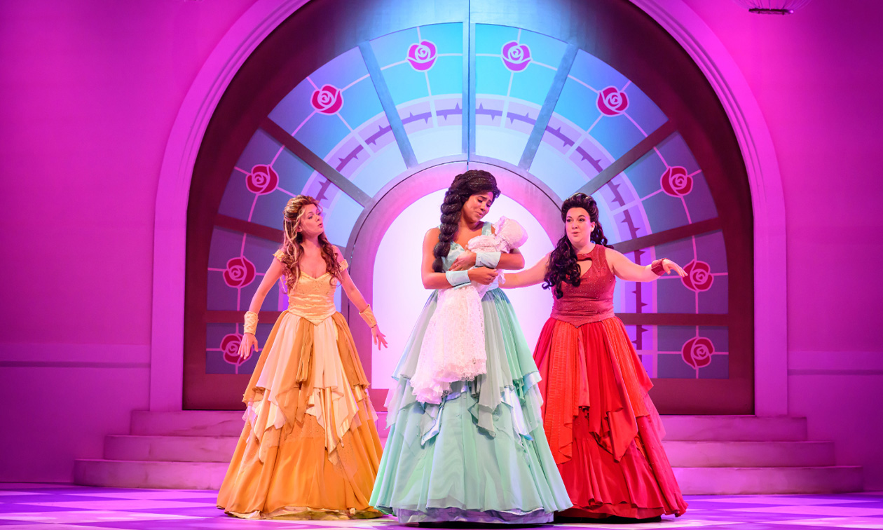 Doornroosje de Musical