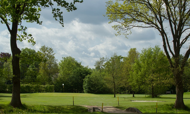 Dutch Golf