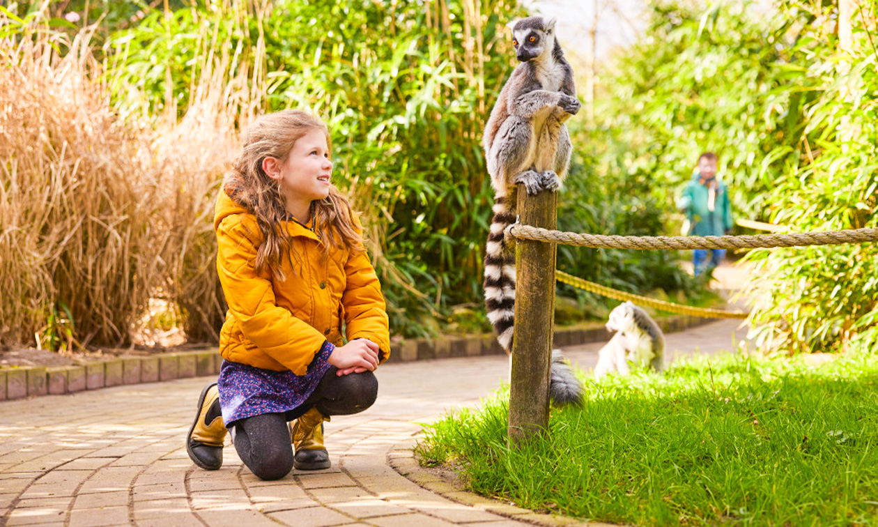 Eindhoven Zoo