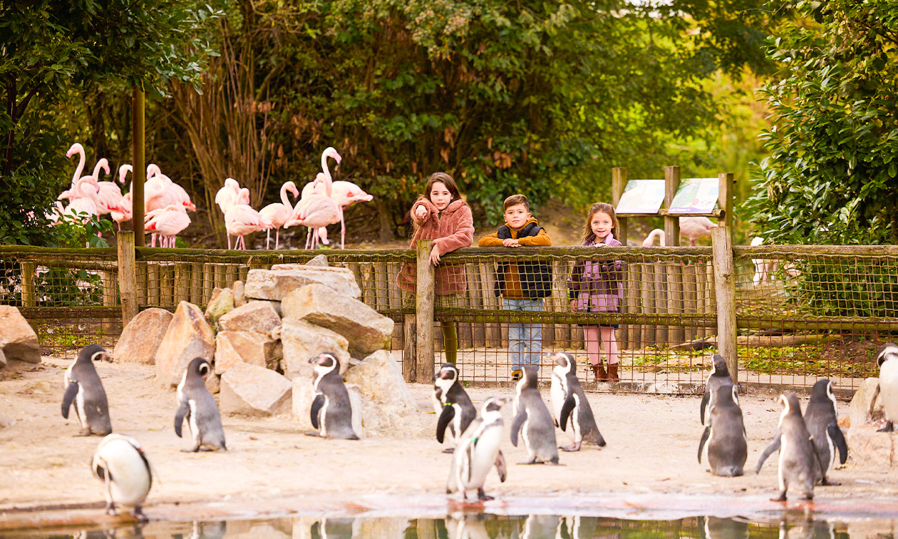 Eindhoven Zoo