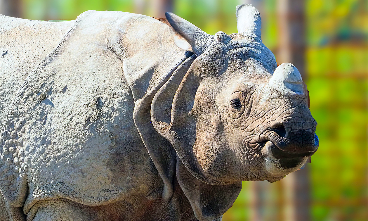 Eindhoven Zoo