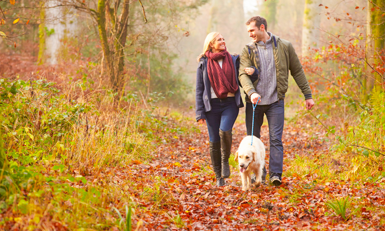 Erve Tichelwaark - Gasterij Rohaan