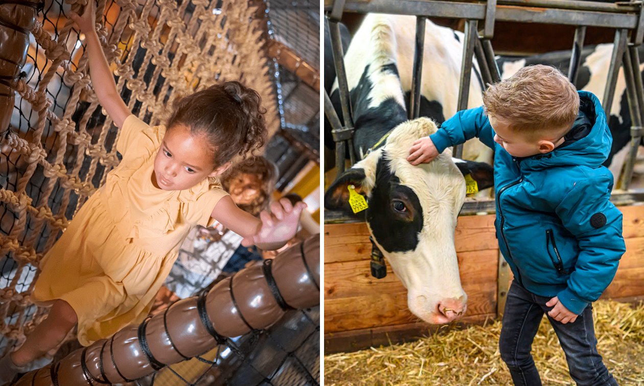 Familie Resort Molenwaard