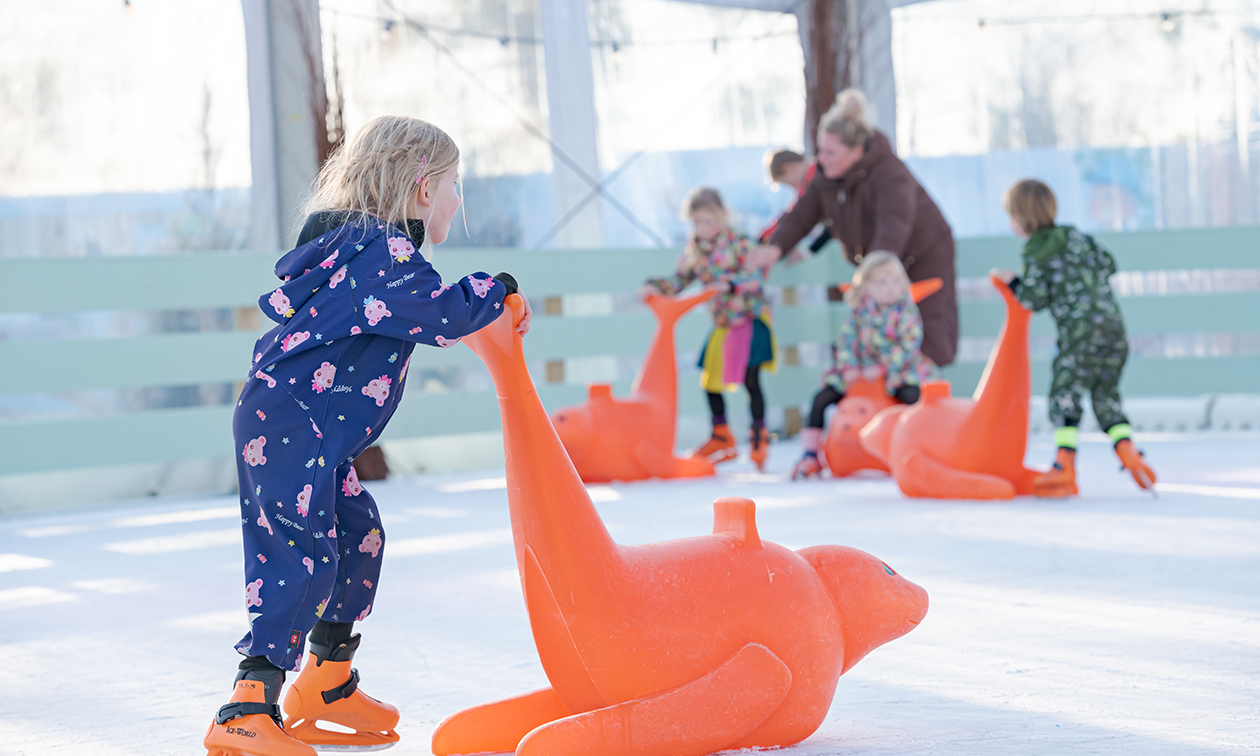 Familie Resort Molenwaard